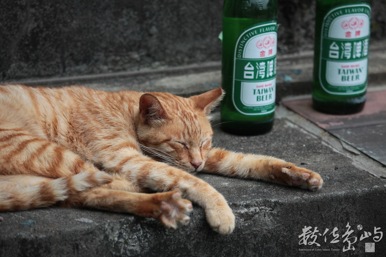 2013年0615台北(侯硐)_068