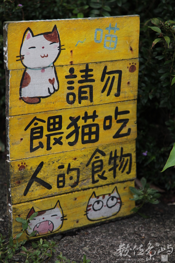 2013年0615台北(侯硐)_220