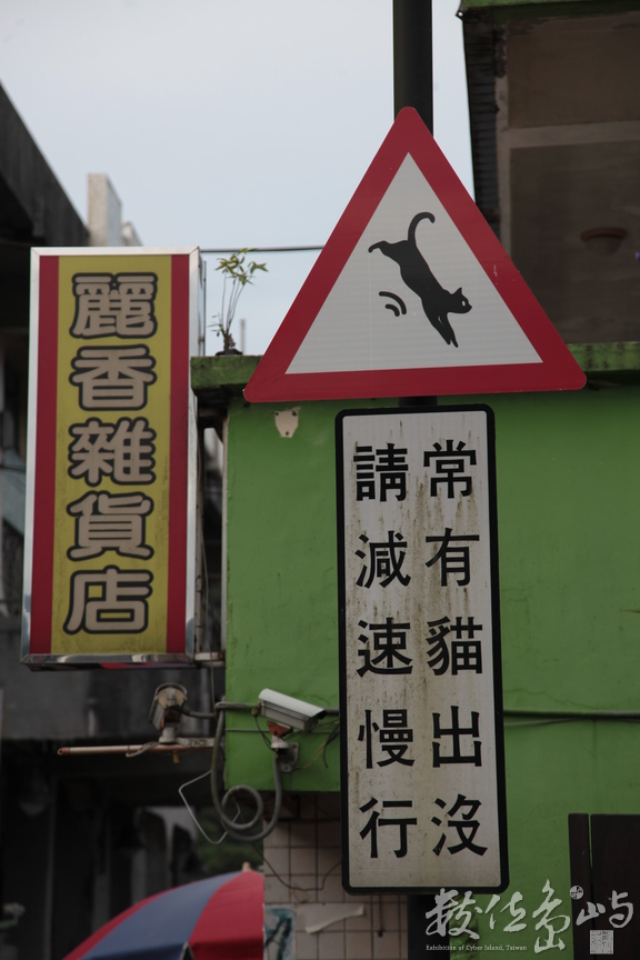 2013年0615台北(侯硐)_207