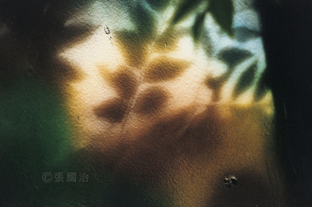 光影流離系列   因為風的緣故(借用洛夫詩題)