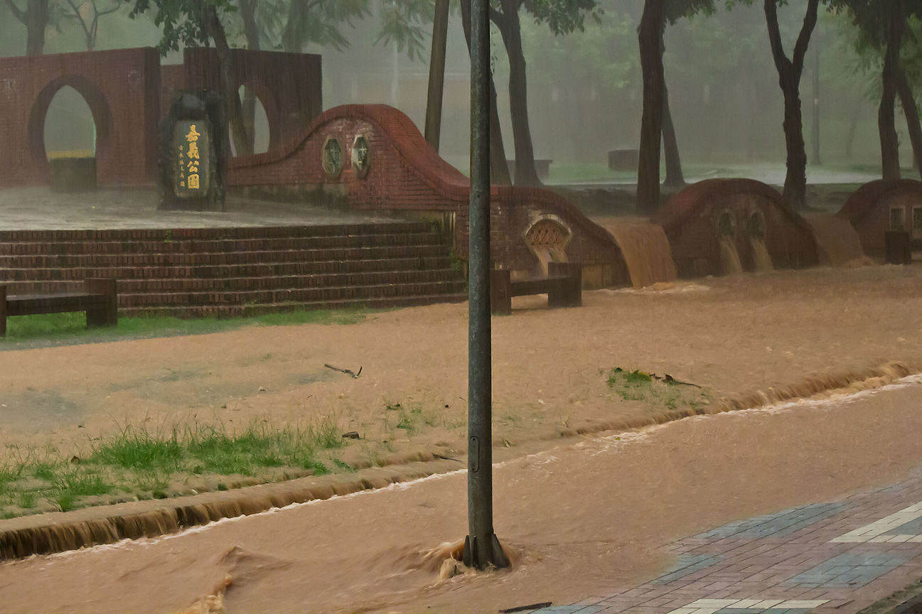 暴雨中的嘉義公園 