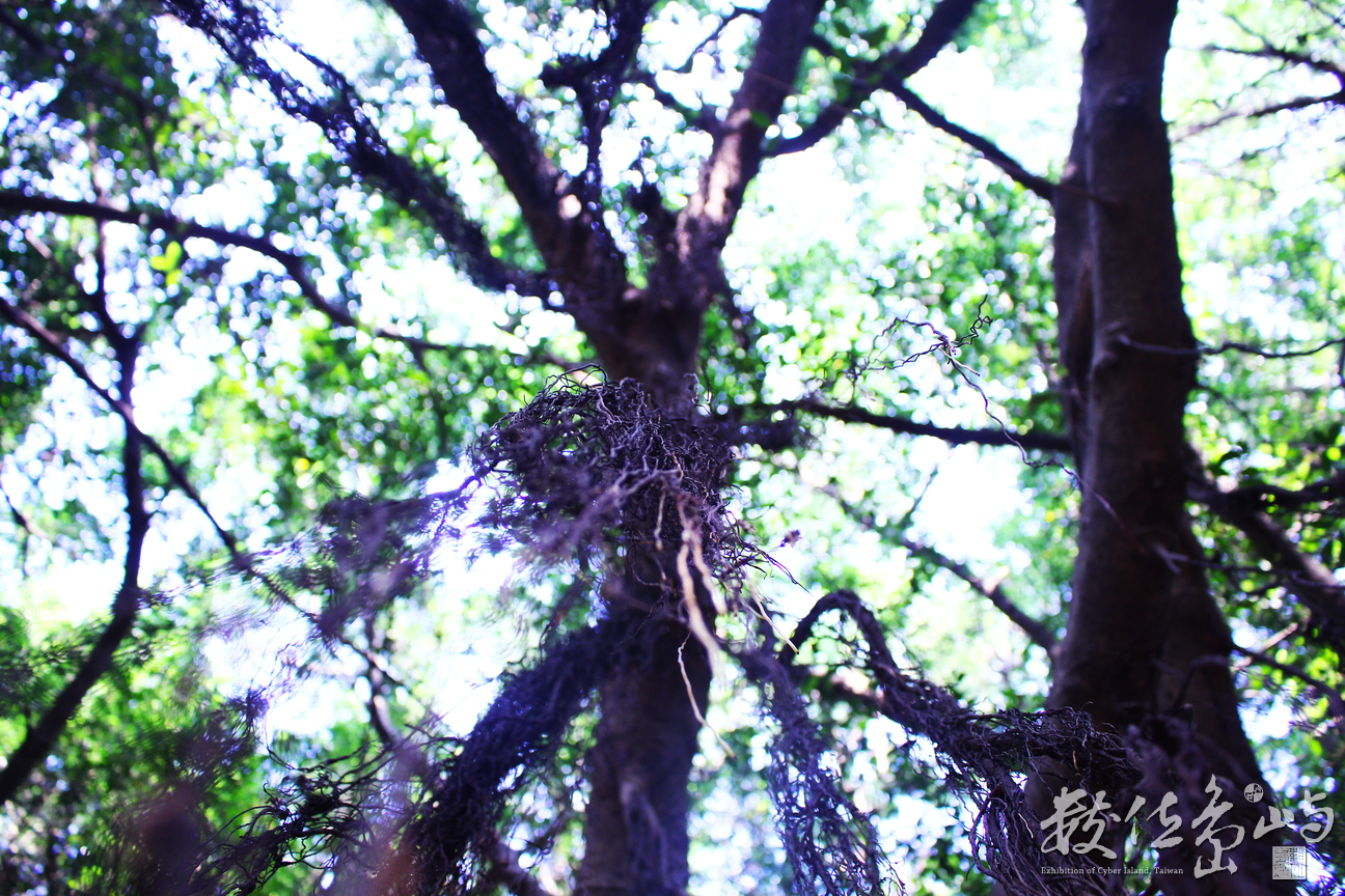 <雨後晴光> Jian Ching 攝