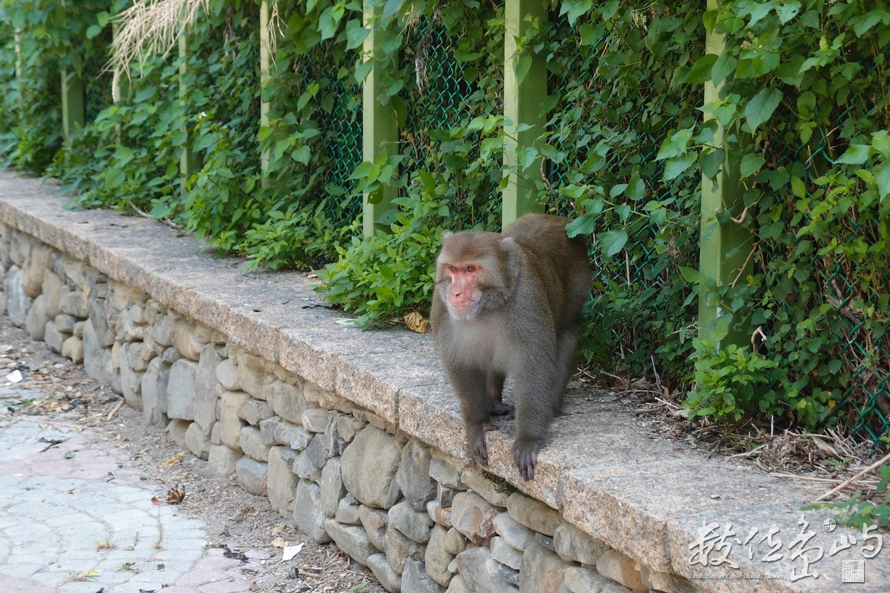20141015拍攝於登仙橋008