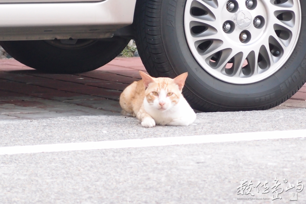 20150603隨拍008