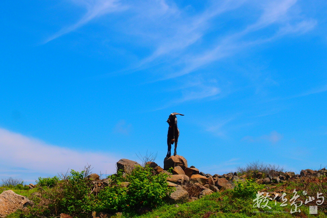 20150603拍攝於七美015