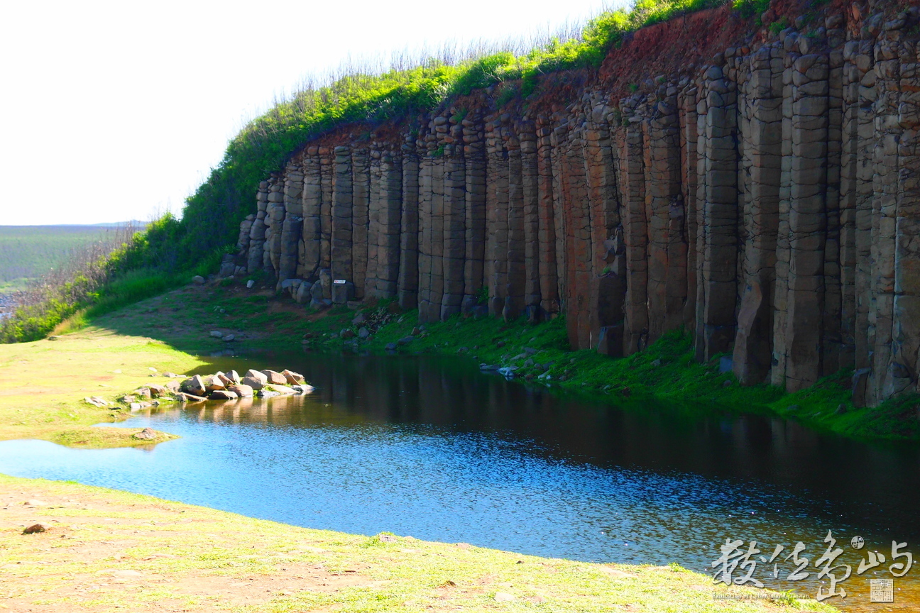 20150602拍攝於大果葉002