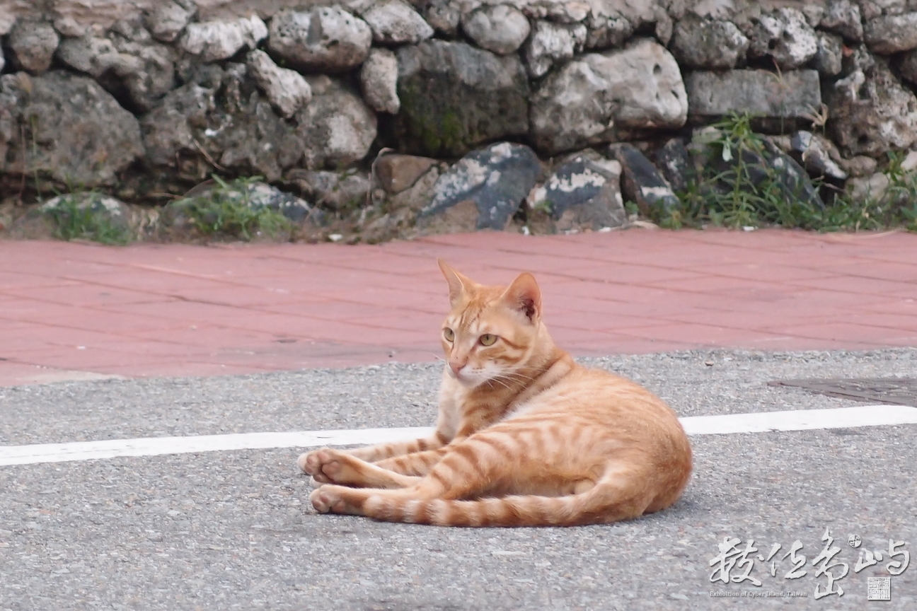 20150603隨拍006