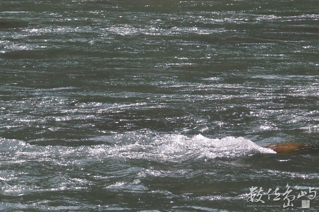 20150305拍攝於奇美部落051