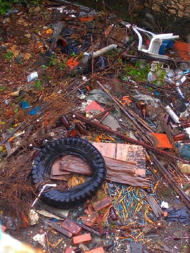 颱風當天!滿目瘡痍~