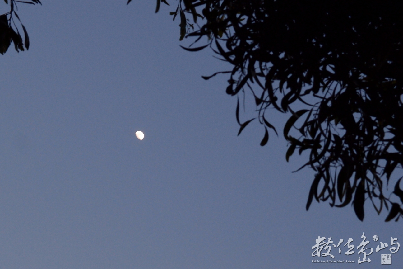 20141231月亮004