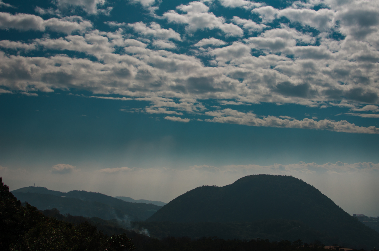 _DSC2220.jpg