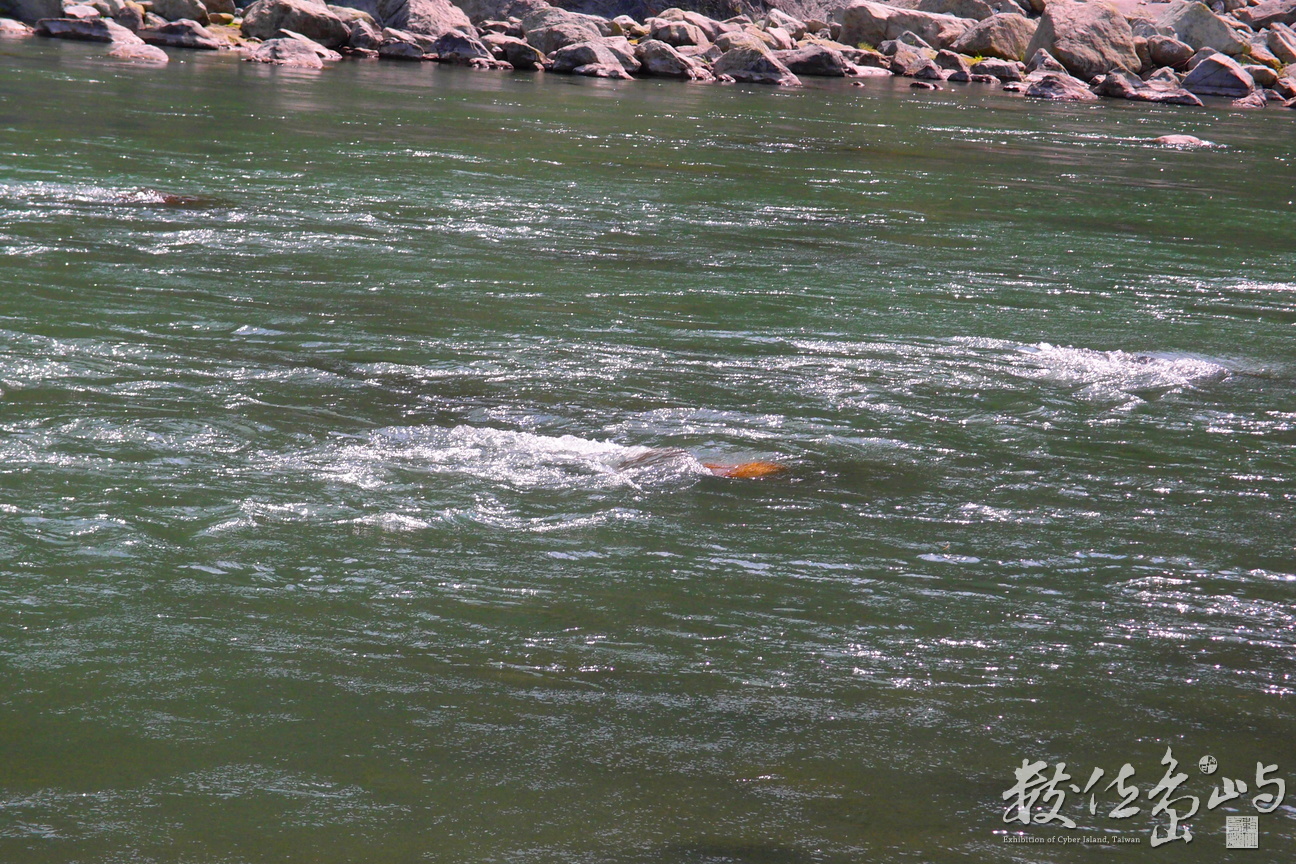 20150305拍攝於奇美部落052