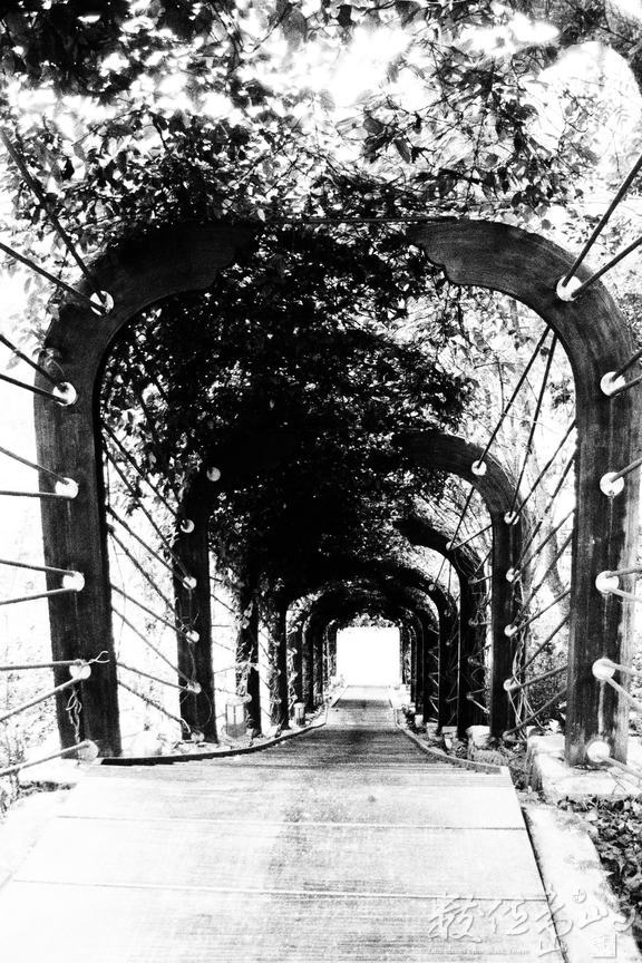 20150306拍攝於知本森林遊樂區015