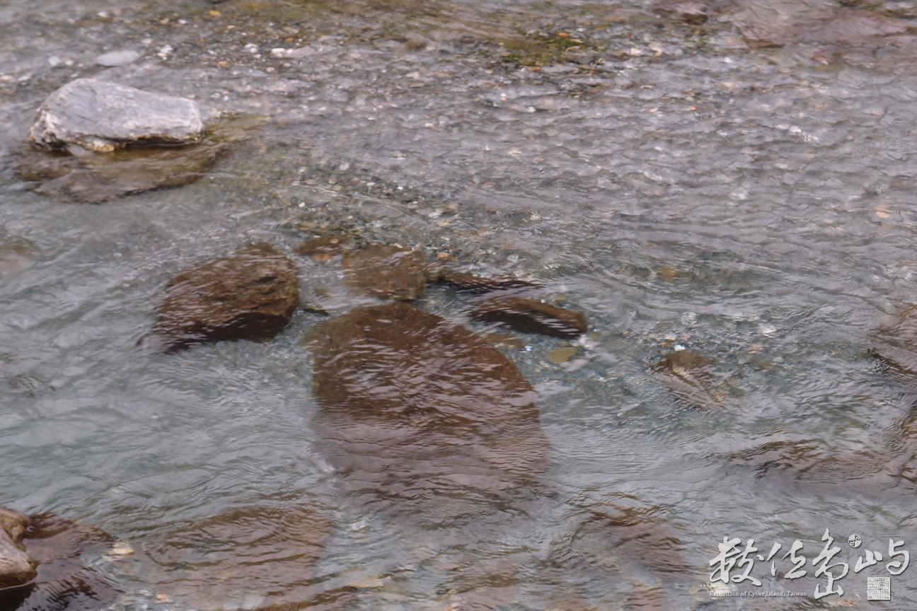 20141014拍攝於大興瀑布009