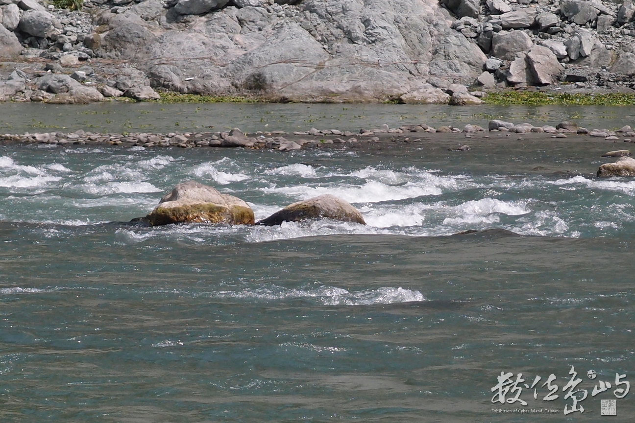 20150305拍攝於奇美部落050