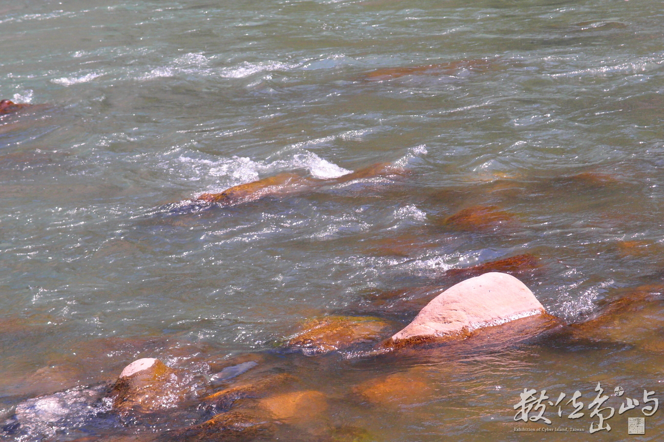 20150305拍攝於奇美部落054