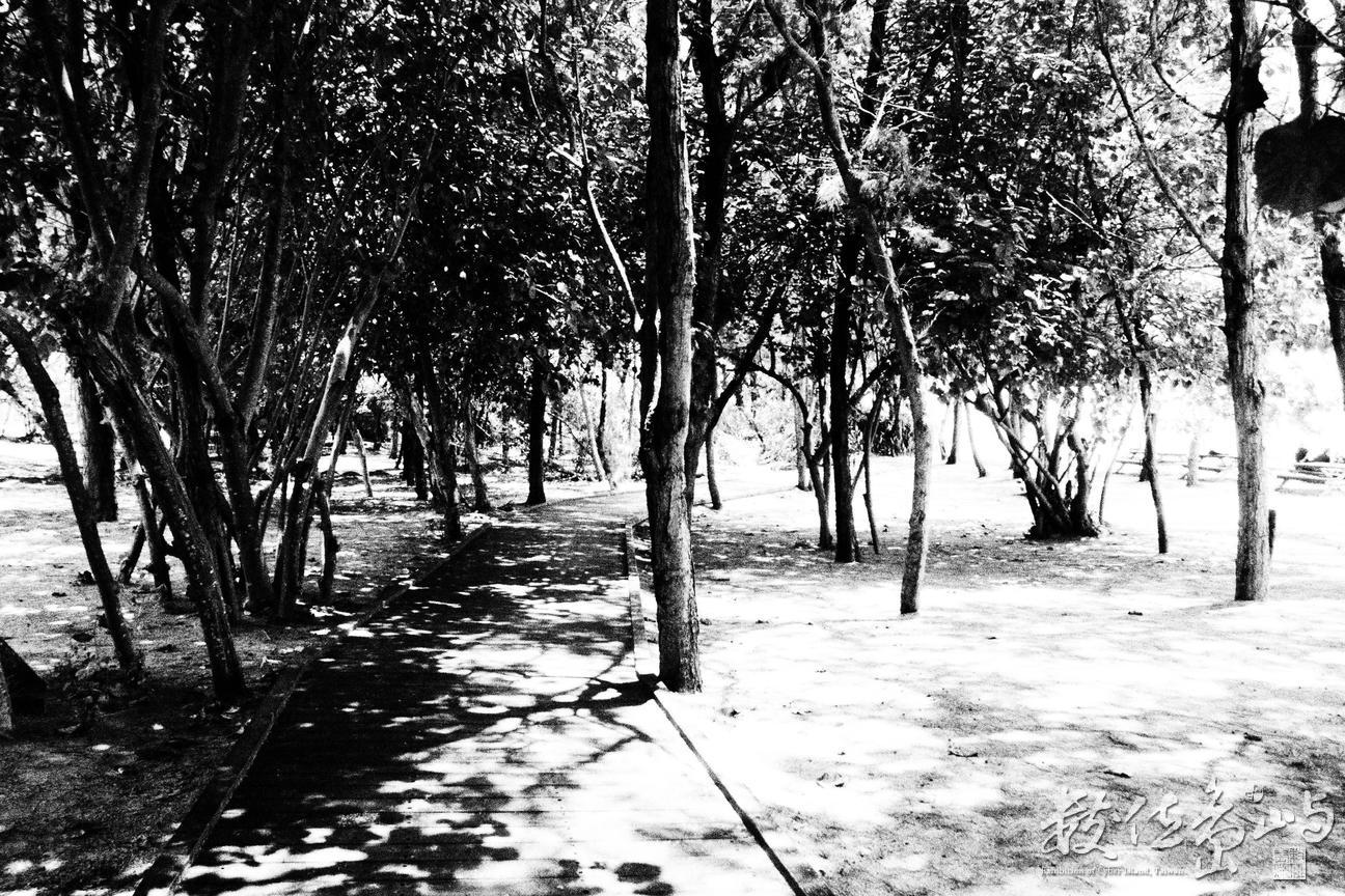 20150601拍攝於隘門沙灘004