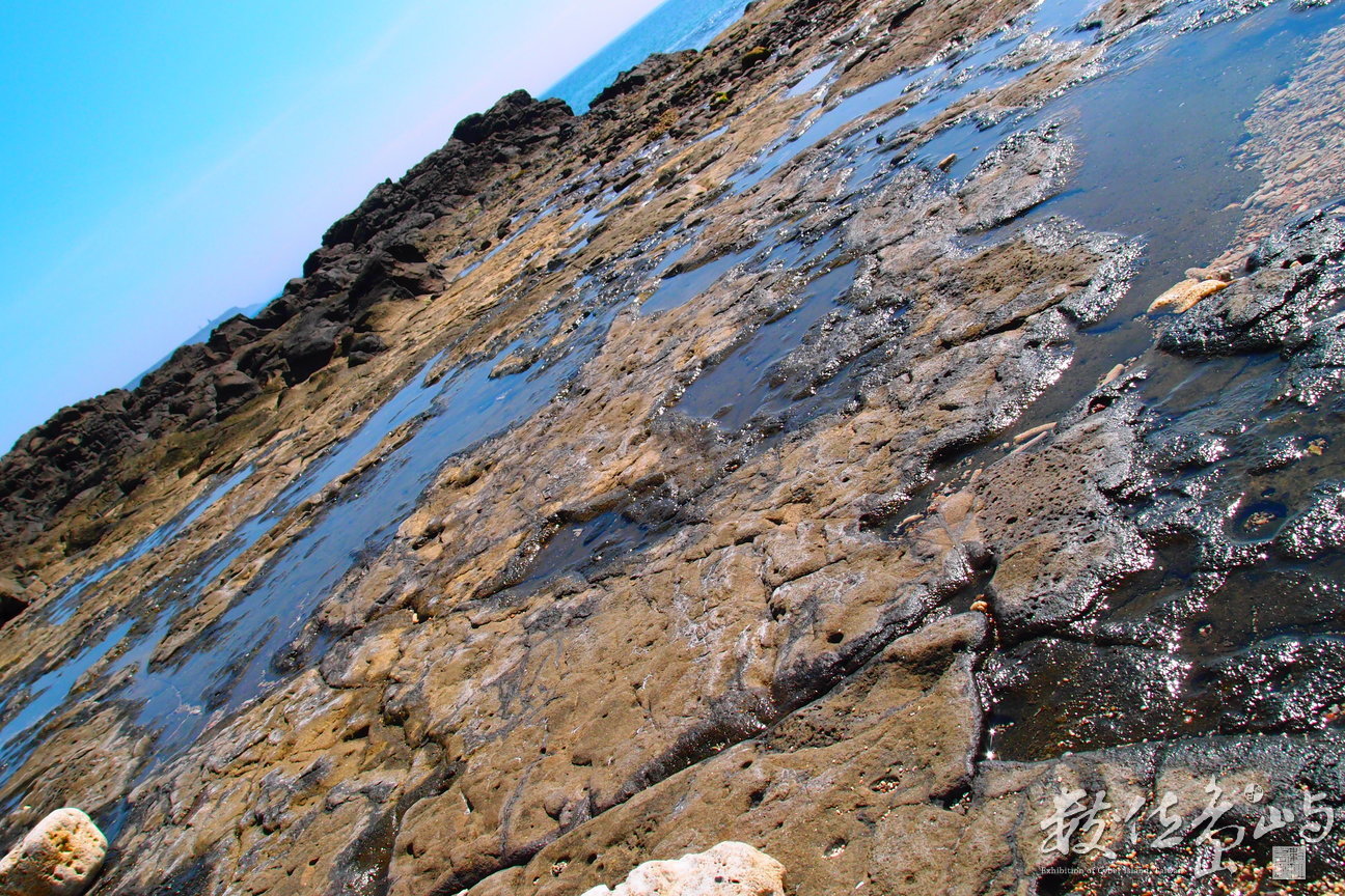 20150602拍攝於學仔尾014