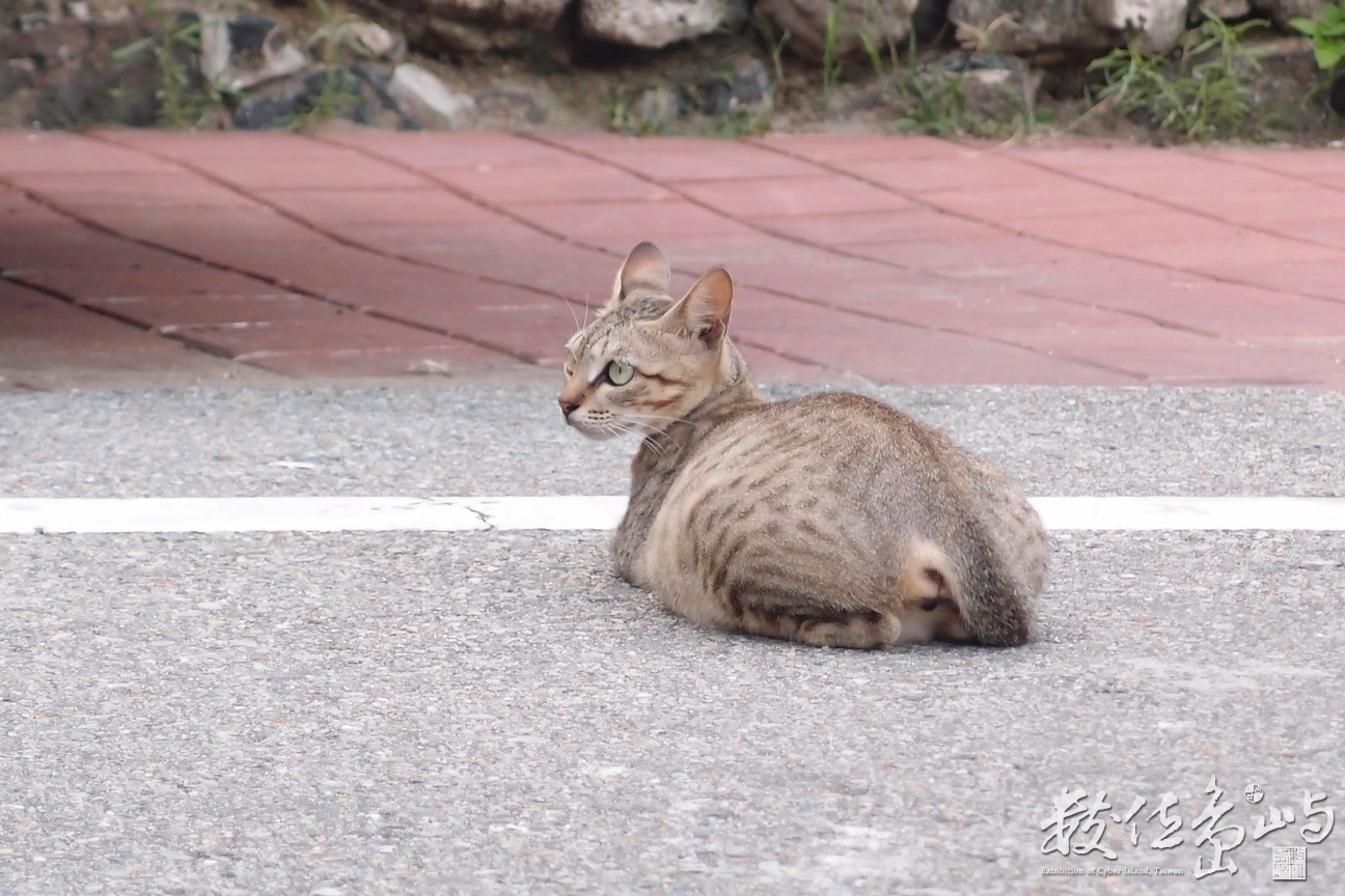 20150603隨拍007