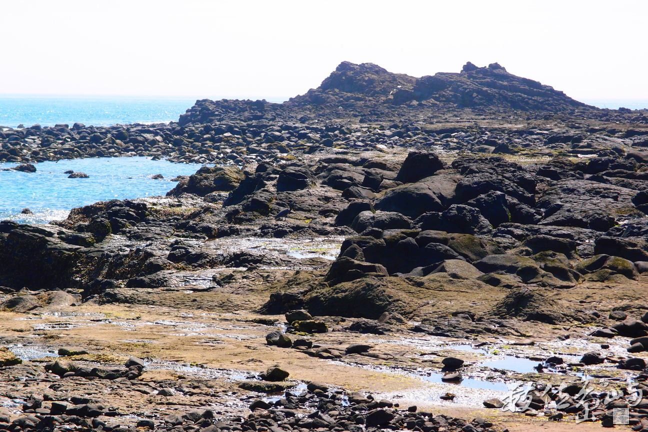 20150602拍攝於學仔尾013