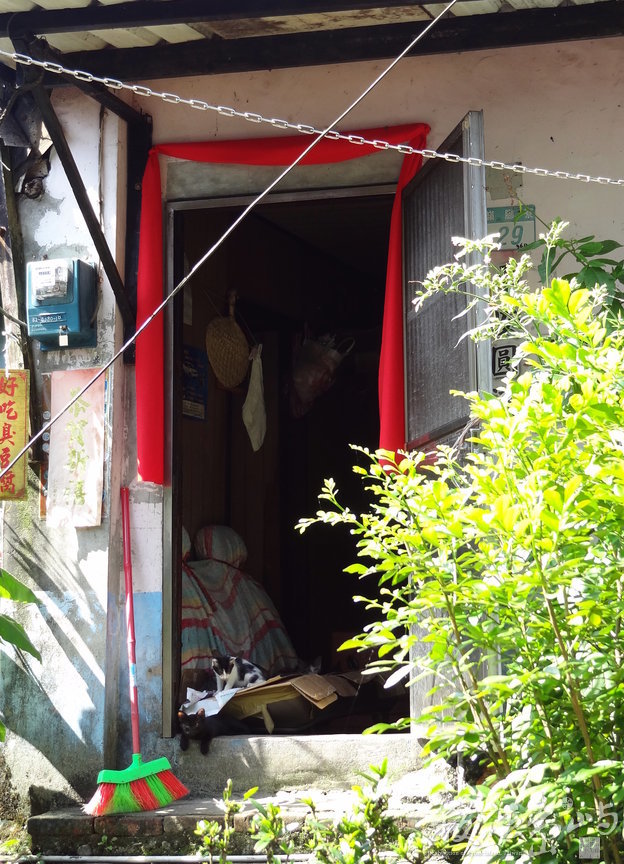 鄉間嬉趣//陳旺展 2013年拍攝