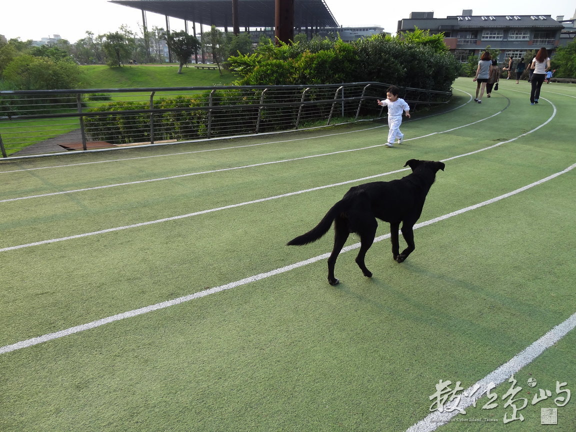 小不點與家犬//陳旺展 2013年拍攝