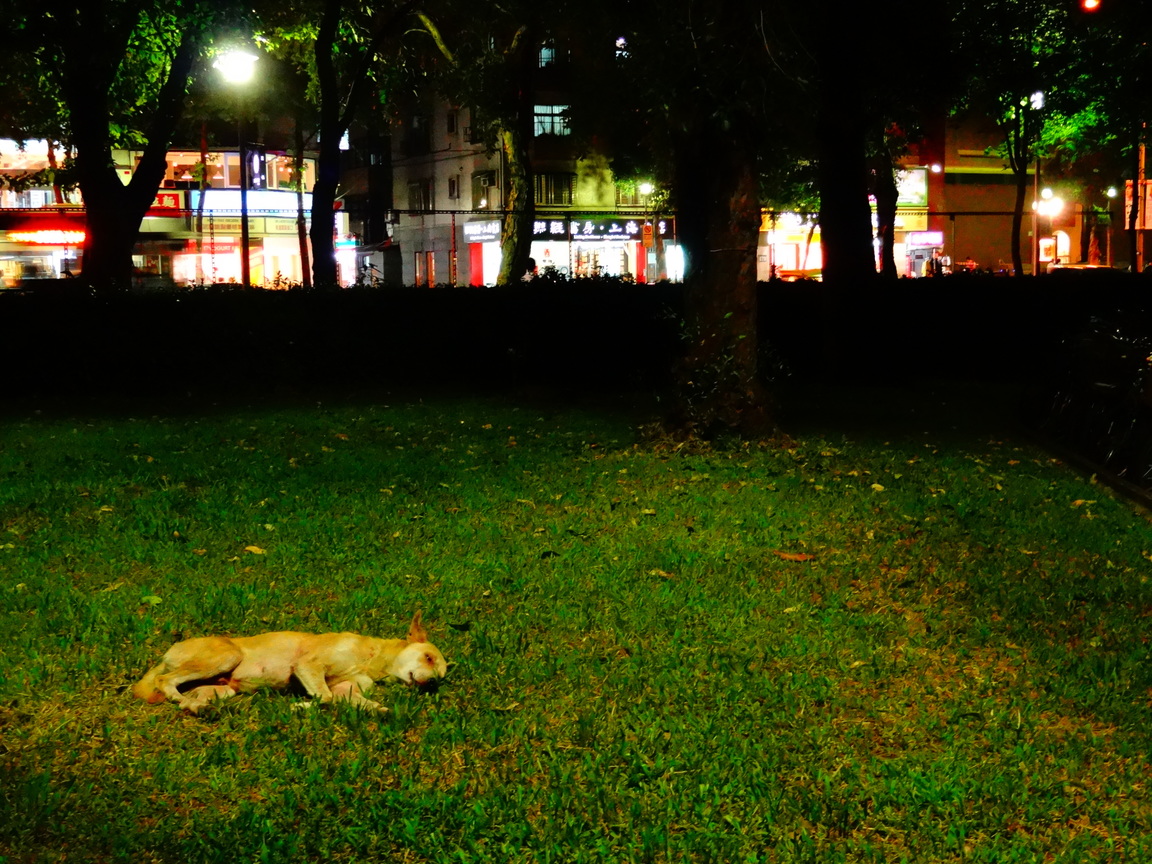 天階夜色涼如水