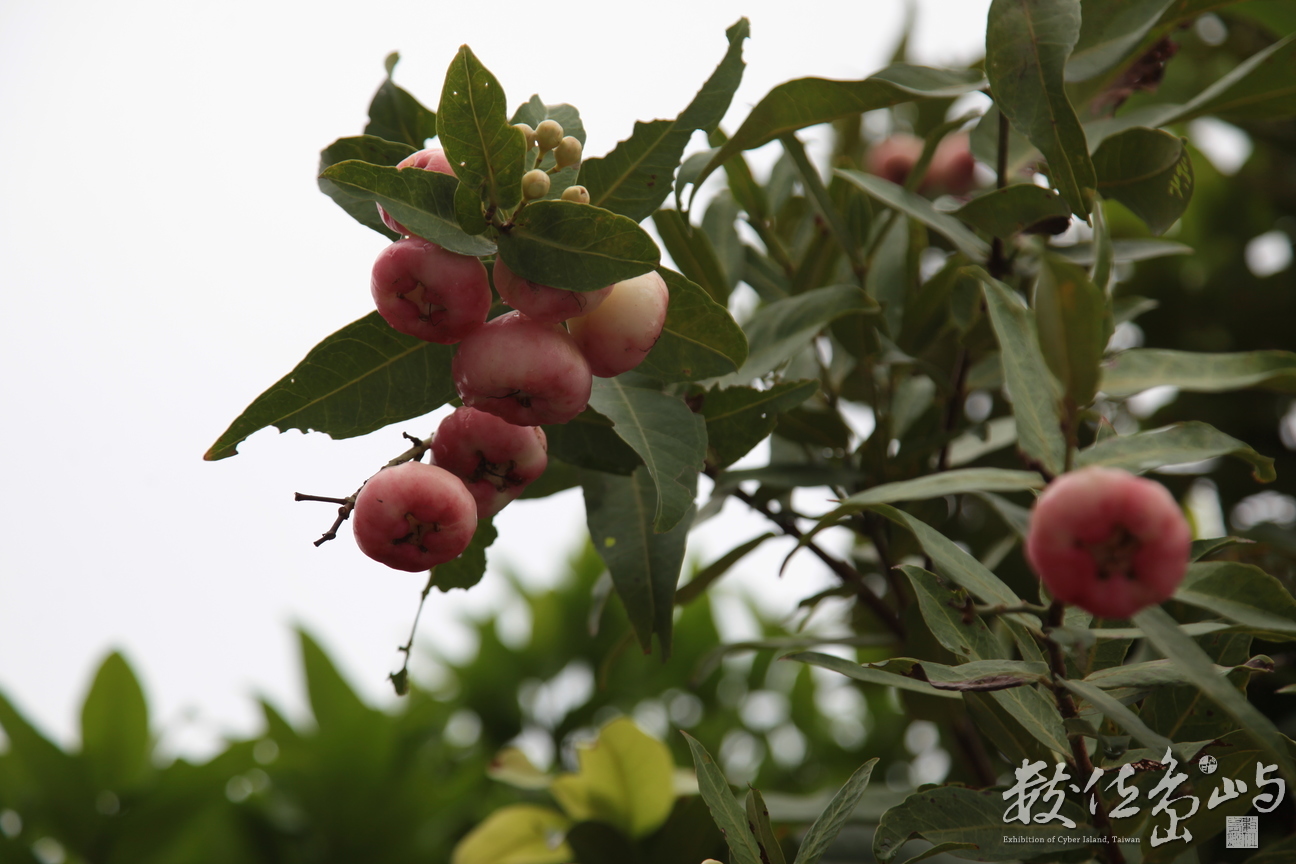 2014年0404屏東(東山寺)_04