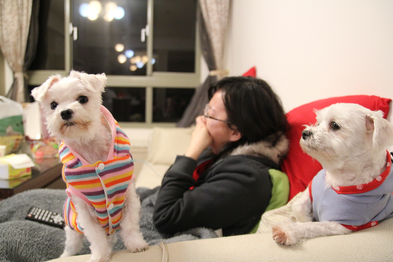 專心？不專心？