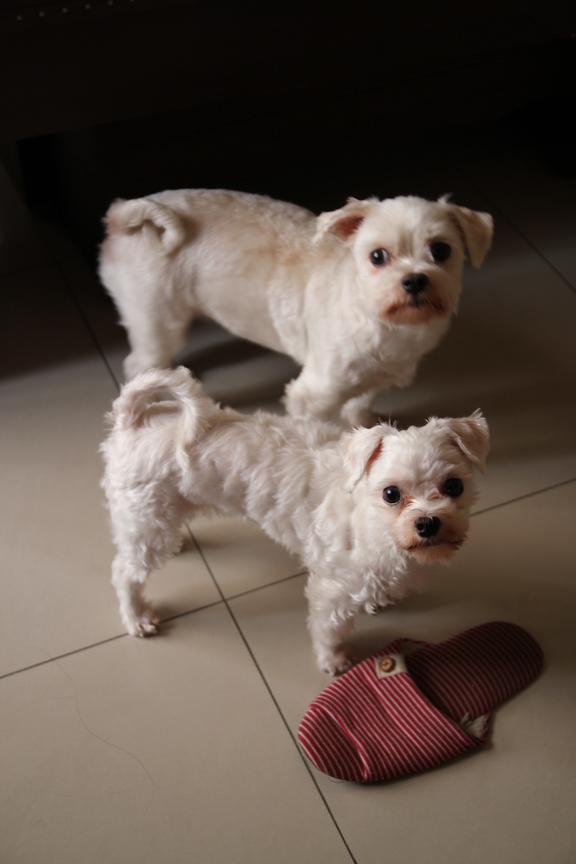 我們可以出門去玩嗎？