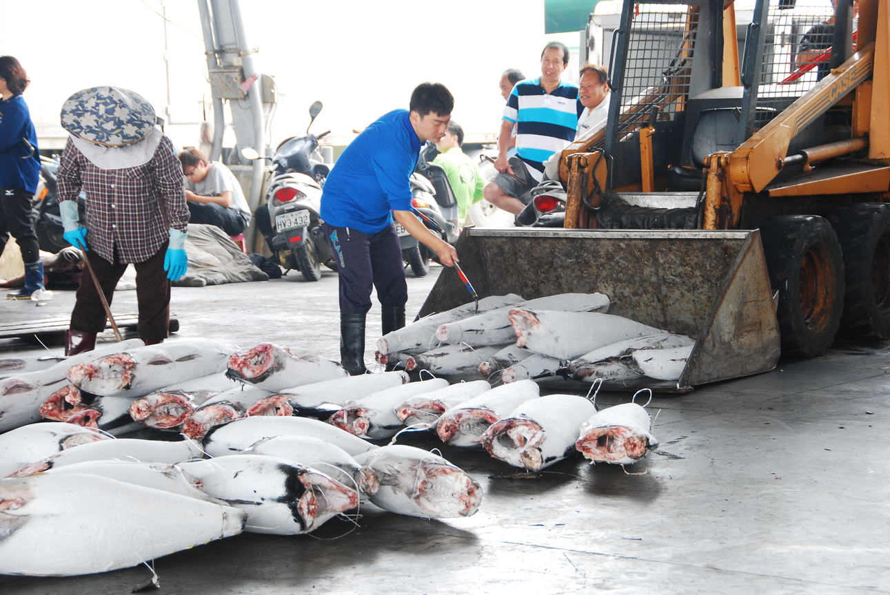 漁貨搬運-陸地搬運