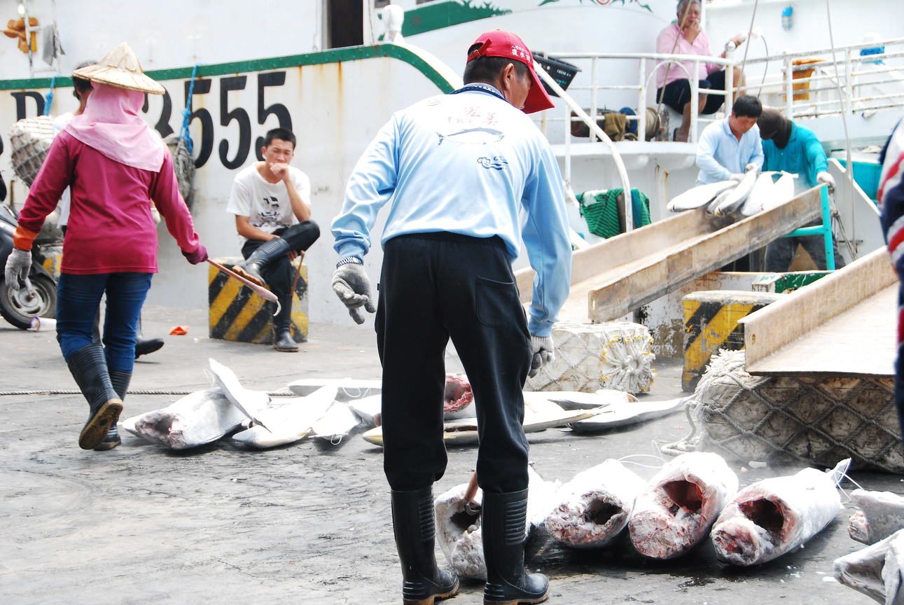 漁貨搬運-船隻卸貨搬運