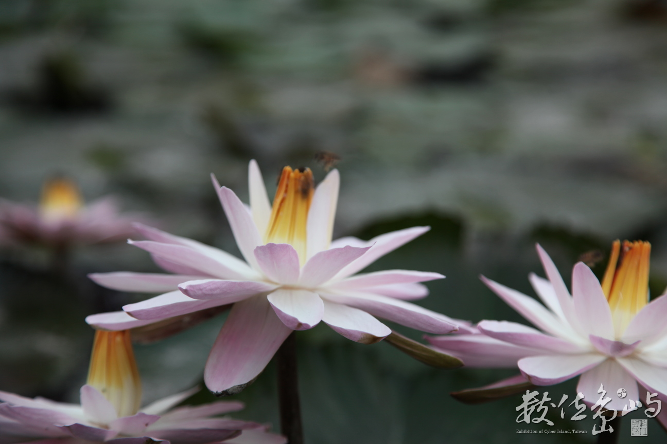 2014年0128高雄_05