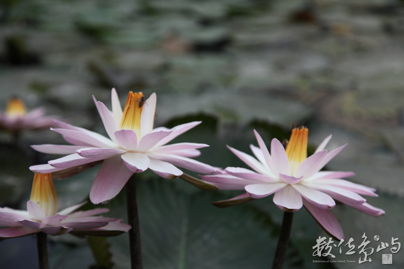 2014年0128高雄_04