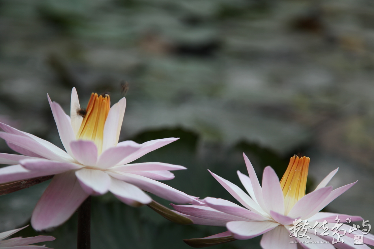 2014年0128高雄_06