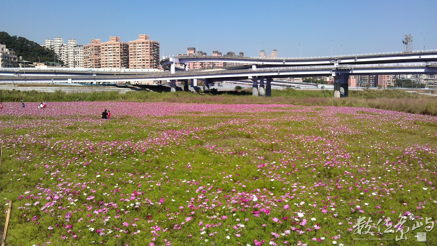 2014年0125台北(新店溪)_08