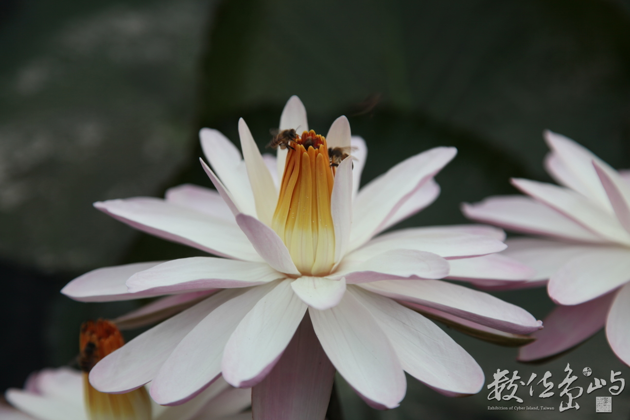 2014年0128高雄_13