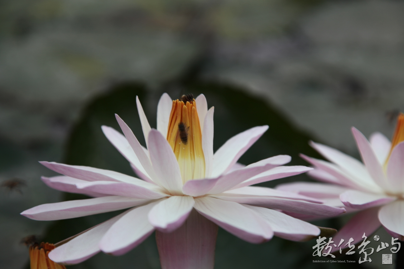 2014年0128高雄_07