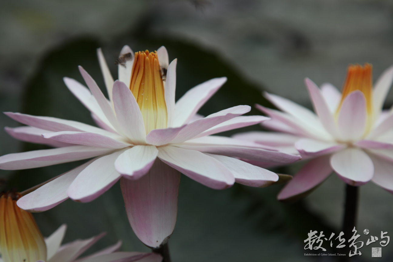 2014年0128高雄_09