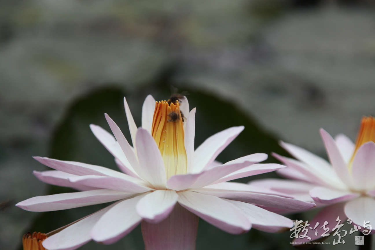 2014年0128高雄_08