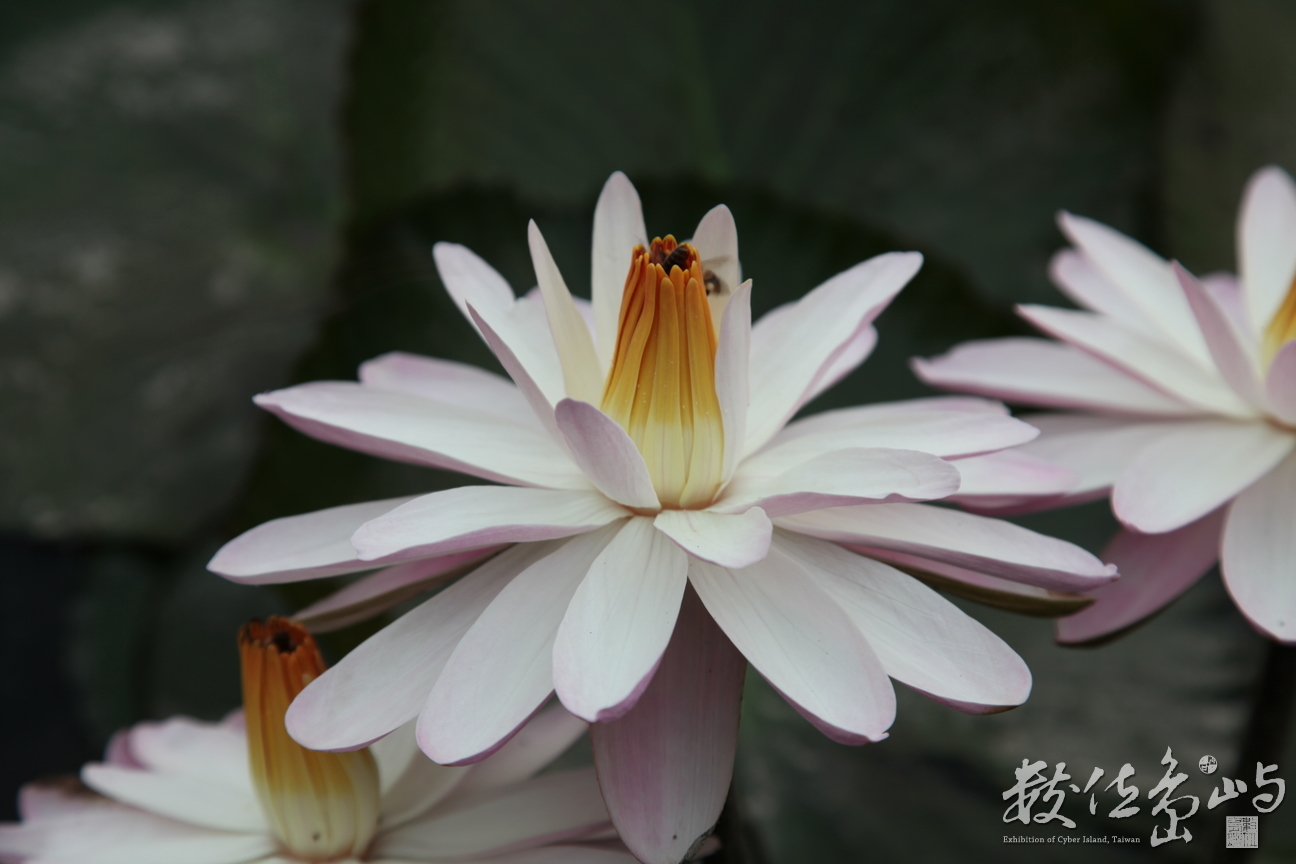 2014年0128高雄_10