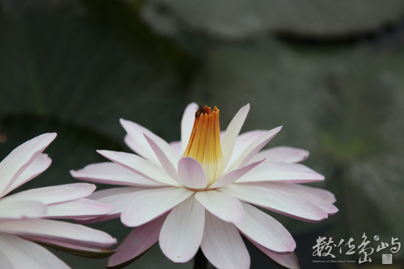 2014年0128高雄_12