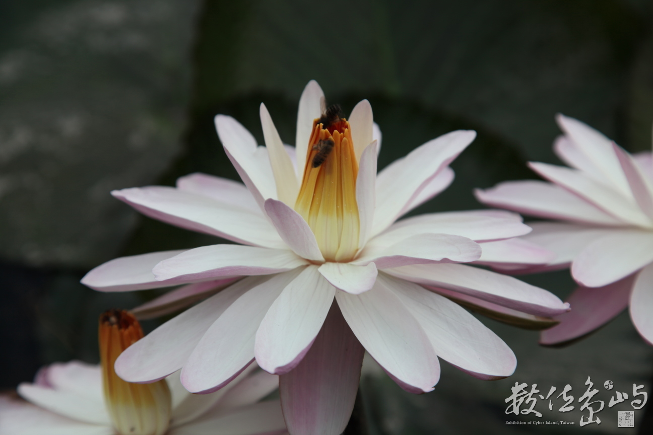 2014年0128高雄_11