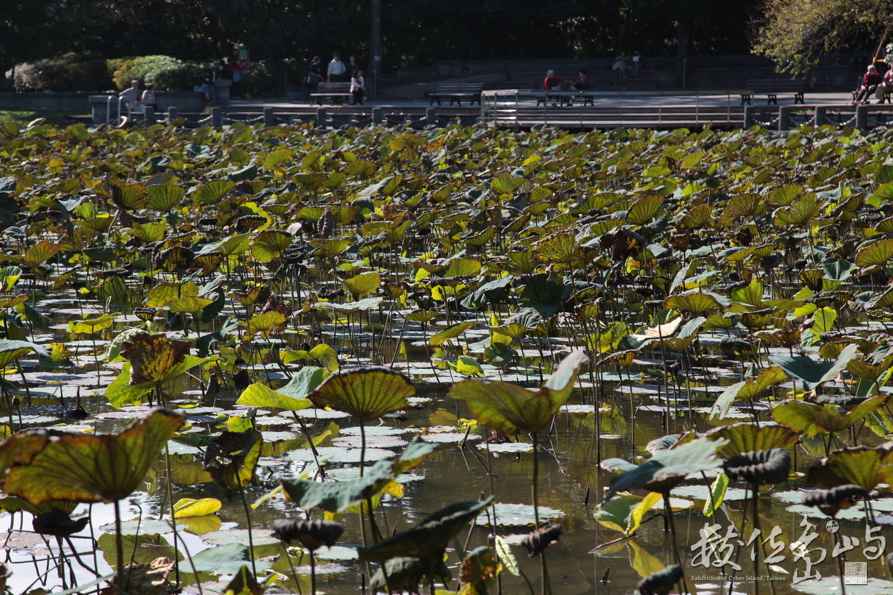 2013年1208台北_15