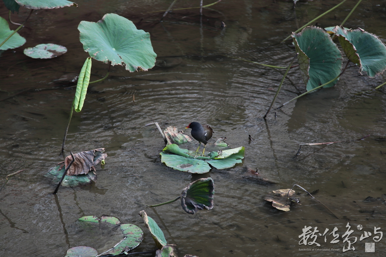 2013年1208台北_28