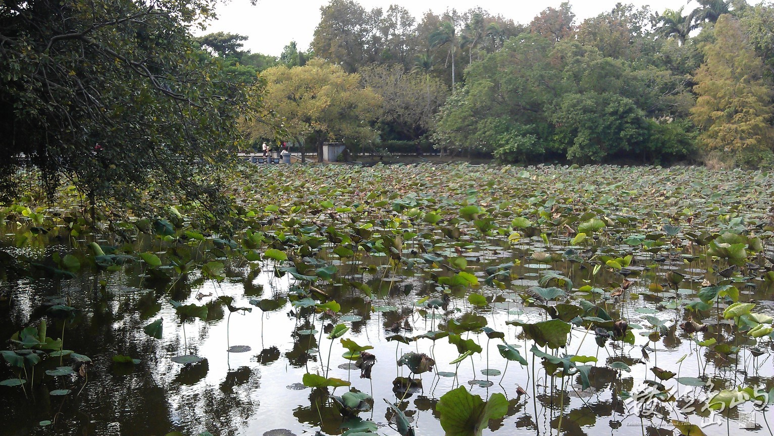 2013年1208台北_30