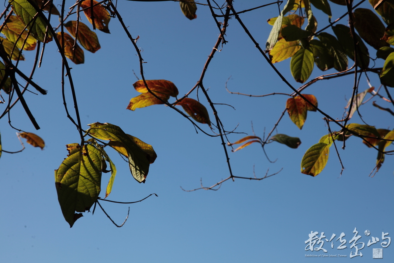 2013年1208台北_09