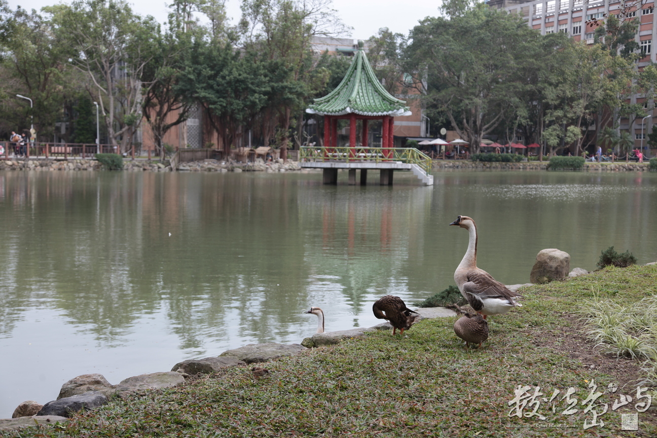 2014年0112台北_07