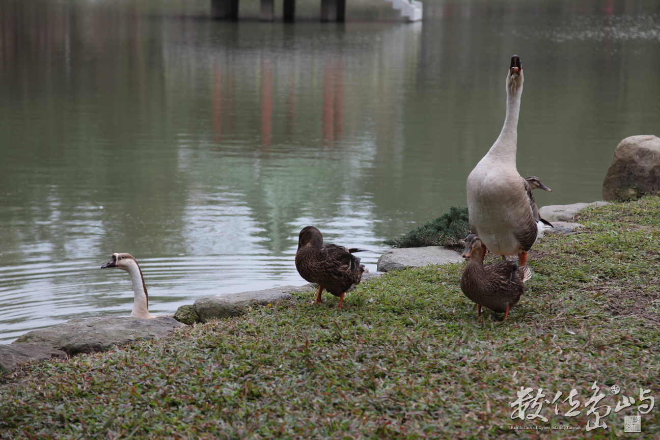 2014年0112台北_08