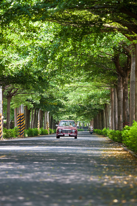 屏東縣潮州鎮-林蔭大道